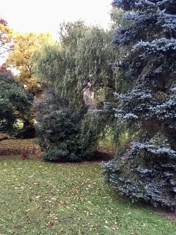 Seventh view of Homely rural property listing, Address available on request