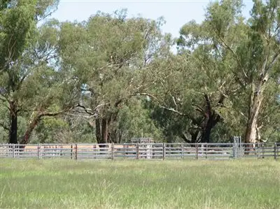 Second view of Homely rural property listing, 1 Wongabel, Adelargo Road, Grenfell NSW 2810