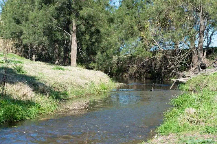 Second view of Homely rural property listing, 226 Dartbrook Rd, Aberdeen NSW 2336