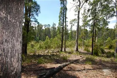 Second view of Homely land listing, 0 Irish Town Road, St Marys TAS 7215