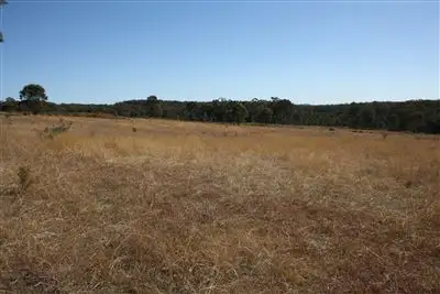 Third view of Homely rural property listing, Lots 1-3 703 Bonds Road Hargraves, Mudgee NSW 2850