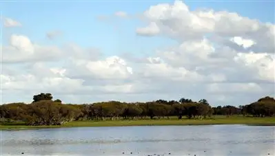 Seventh view of Homely rural property listing, 578 Coonabidgee Road, Gingin WA 6503