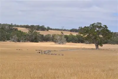 Second view of Homely rural property listing, . Wandarin, Boyacup Road, Frankland WA 6396