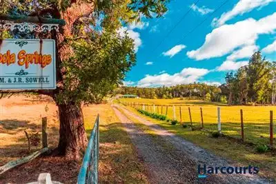 Main view of Homely house listing, 1951 Pipers River Road, Pipers River TAS 7252