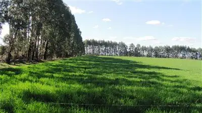 Fifth view of Homely rural property listing, . Oaks Road, Bracknell TAS 7302