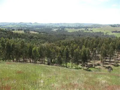 Second view of Homely rural property listing, 675 Middle Creek Road, Yarck VIC 3719