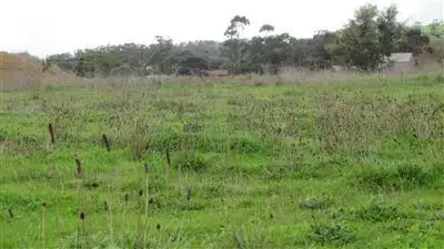 Sixth view of Homely land listing, Lot 214 Valley Road, Angaston SA 5353
