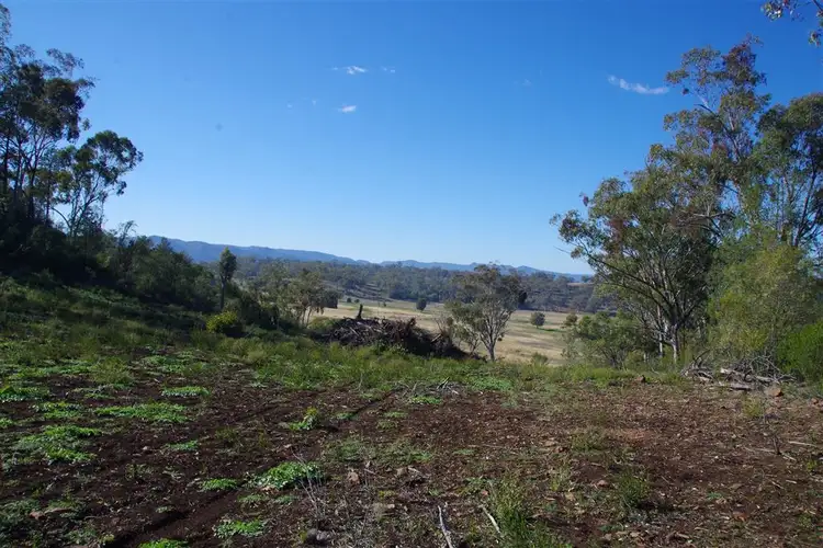 Seventh view of Homely rural property listing, 814 Timor Mountain Road, Maules Creek NSW 2382