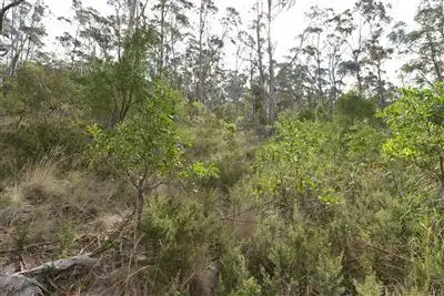 Fourth view of Homely land listing, 323A Tinderbox Road, Tinderbox TAS 7054