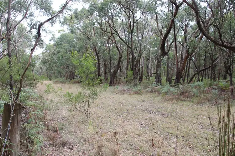 Second view of Homely rural property listing, Lot52 F Bucks Road, Scotts Creek VIC 3267