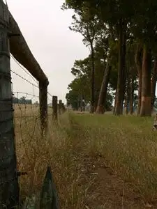 Seventh view of Homely rural property listing, NL 9600 Tannin Road, Manjimup WA 6258