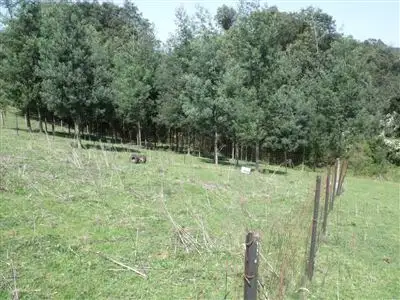 Seventh view of Homely rural property listing, 60 Christies Albert River Road, Hiawatha VIC 3971