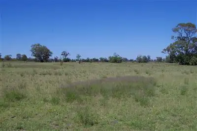Second view of Homely rural property listing, 658 Murrumbilla Lane, Narrabri NSW 2390
