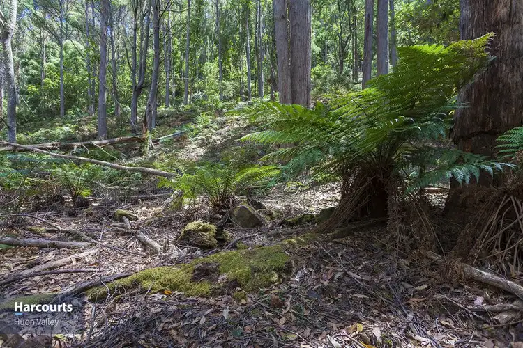 Fourth view of Homely land listing, RA Fyfes Road, Mountain River TAS 7109