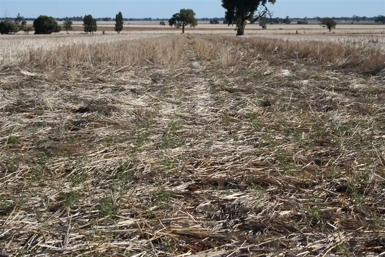 Seventh view of Homely rural property listing, 4978 Mitchell Highway, Narromine NSW 2821