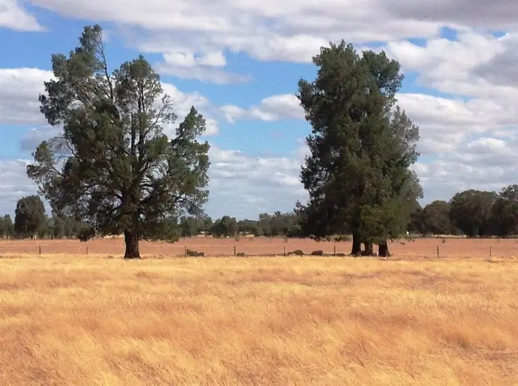 Main view of Homely rural property listing, Lots/25-28 5318 Olympic Hwy,, Henty NSW 2658