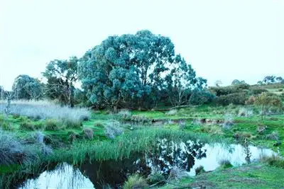 Second view of Homely rural property listing, Bob's/. Rugby Road, Dalton NSW 2581