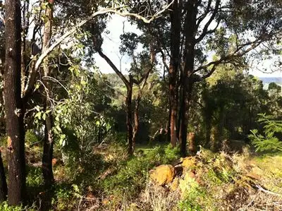 Fourth view of Homely land listing, 19 MANOR RIDGE, Bridgetown WA 6255