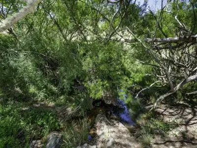 Fourth view of Homely rural property listing, Lot 6 Rhyanna Road, Goulburn NSW 2580