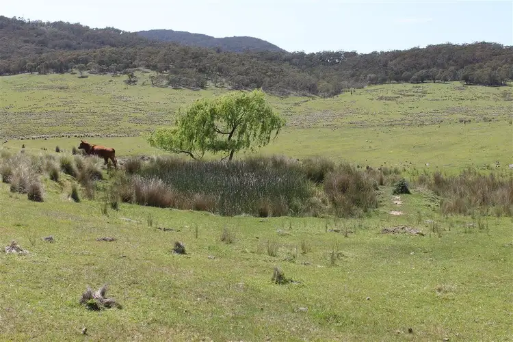 Third view of Homely rural property listing, 728 Kain Cross Road, Hereford Hall via, Braidwood NSW 2622