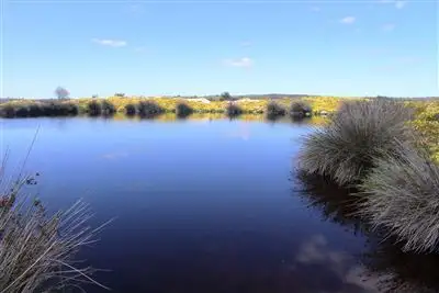 Main view of Homely rural property listing, Address available on request