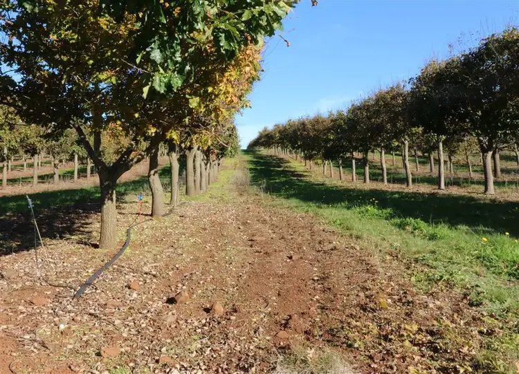 Sixth view of Homely rural property listing, 110 Trickett Road, Needles TAS 7304