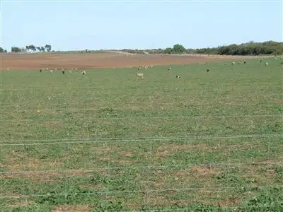 Main view of Homely rural property listing, Lot 27 Butcher Road, Bookara WA 6525