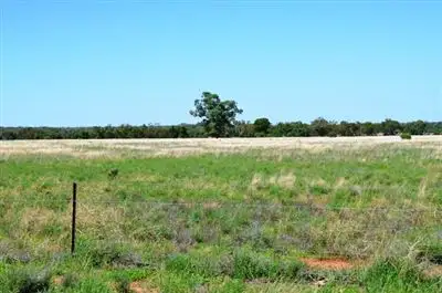 Seventh view of Homely rural property listing, * Hudsons, Nymagee, Cobar NSW 2835