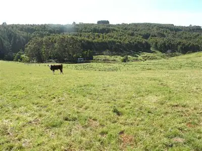 Fifth view of Homely rural property listing, 249 Camena Road, Natone TAS 7321