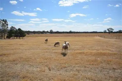Sixth view of Homely house listing, 15 Fairview Drive, Clunes VIC 3370
