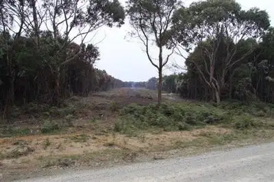 Main view of Homely rural property listing, 2101 Fraser Road, Pegarah TAS 7256