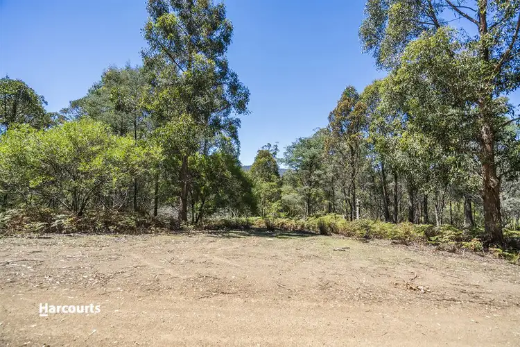 Main view of Homely land listing, Lot 1 Fyfes Road, Mountain River TAS 7109
