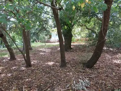 Fifth view of Homely land listing, 5 Surrey Street, Hawthorndene SA 5051