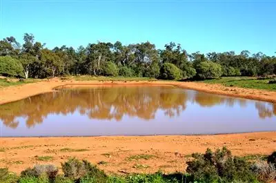 Seventh view of Homely rural property listing, * Kallara, Nyngan NSW 2825