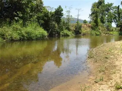 Second view of Homely rural property listing, 1256 Tully Gorge Road, Jarra Creek QLD 4854