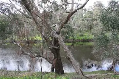 Seventh view of Homely land listing, Lot A, 84 RIVER RD, Bridgetown WA 6255