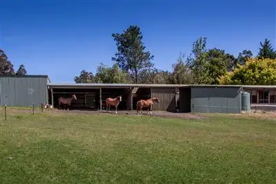 Sixth view of Homely house listing, 109 Gums Road, Mountain River TAS