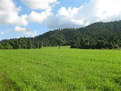 Third view of Homely rural property listing, Address available on request