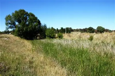 Fourth view of Homely rural property listing, Lot/36 & 37 Loop Road, Dalton NSW 2581
