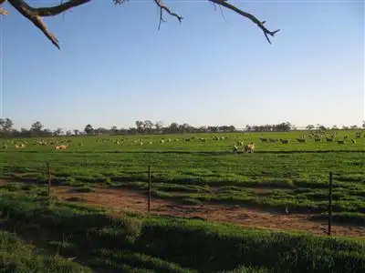 Second view of Homely rural property listing, . Wilsons Lane, Narromine NSW 2821