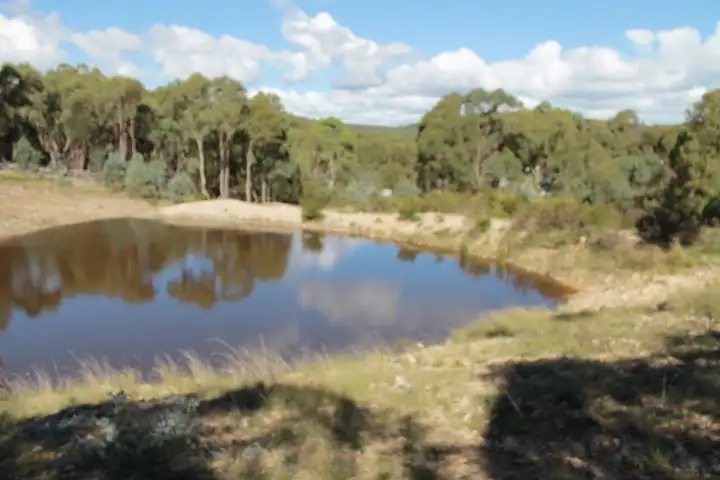 2315 Emmaville Rd, Glen Innes NSW 2370