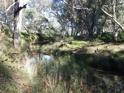 Sixth view of Homely rural property listing, 10 LONGLEA LANE, Longlea VIC 3551