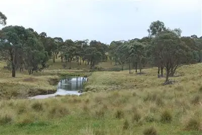 Third view of Homely rural property listing, 3339 Niangala Road, Walcha NSW 2354