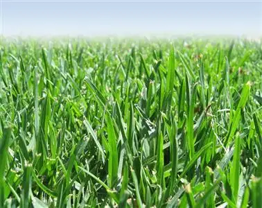 Main view of Homely land listing, Lot 450 Glasswing Street, Tarneit VIC 3029