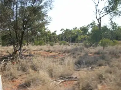 Fifth view of Homely rural property listing, . Number 8, Wyandra QLD 4489