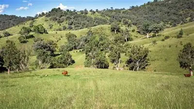 Fourth view of Homely rural property listing, 318 Spring Creek Road, Tamworth NSW 2340