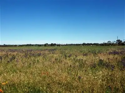 Sixth view of Homely rural property listing, 252 Distillery, Monash SA 5342