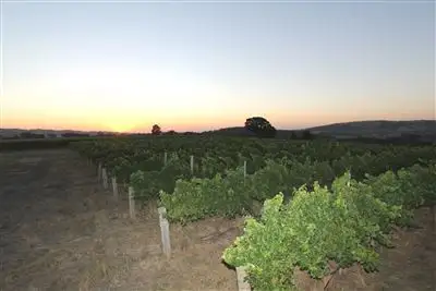 Second view of Homely rural property listing, . Nangkita Vineyard, Nangkita SA 5210