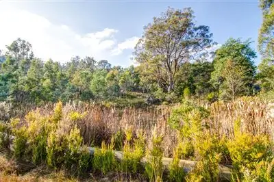 Second view of Homely land listing, 5 Keith Avenue, Travellers Rest TAS 7250