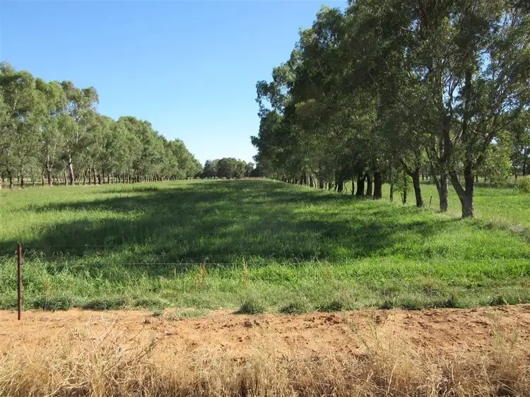 Fourth view of Homely rural property listing, 415 Waugh Road, Toolamba VIC 3614